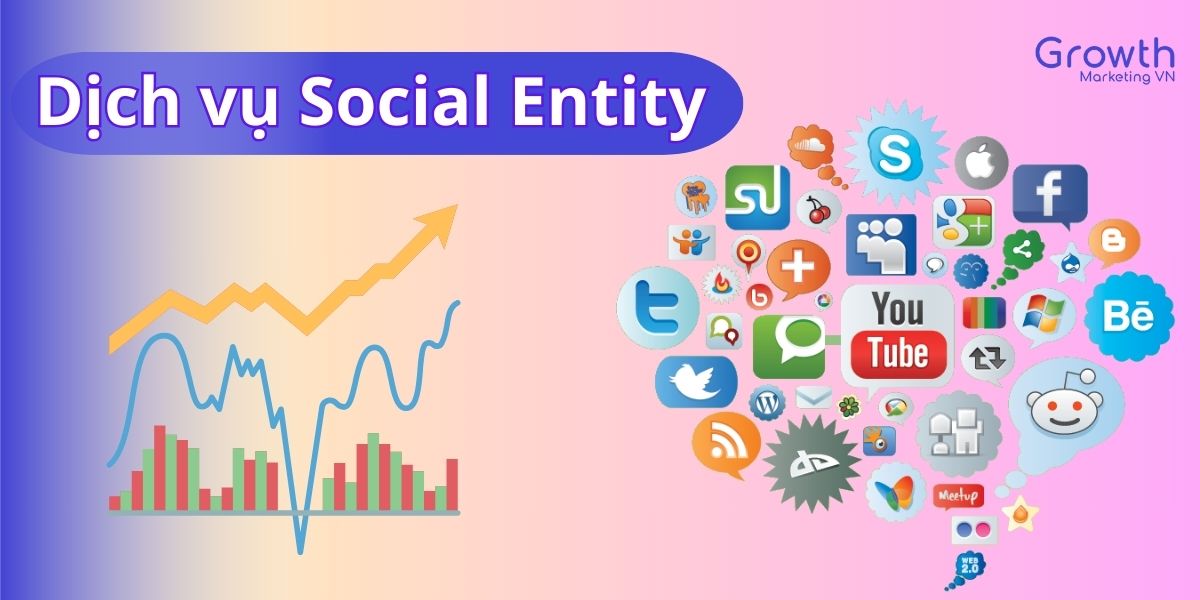 dich vu entity